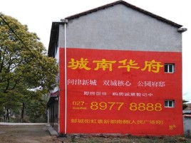 西充百分之90的人都不了解的农村墙体广告