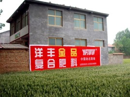 西充如何让墙体广告展现最大化效果
