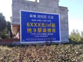 西充品牌公司青睐的墙体广告
