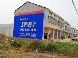 西充农村墙体广告在不同形式上面展现的不同特色