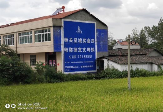 西充决定墙体广告价格的因素有哪些?